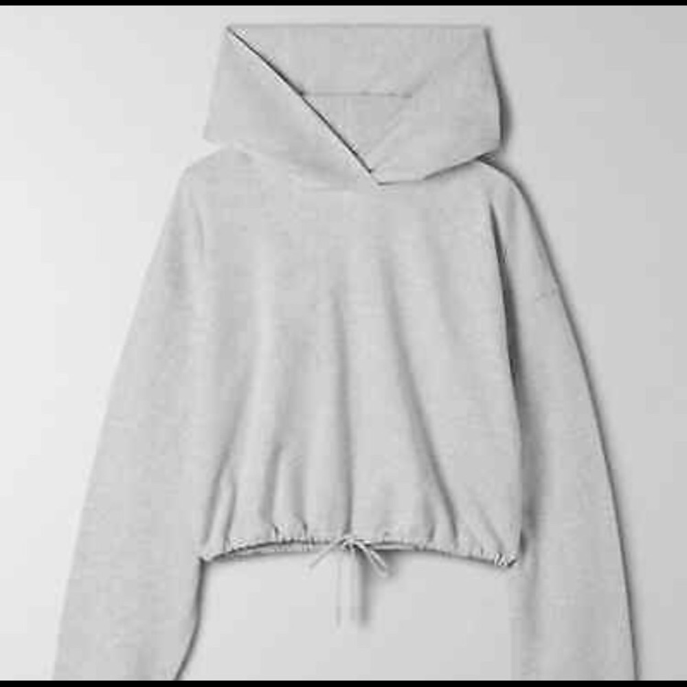 Aritzia The Group Babaton Sweatshirt